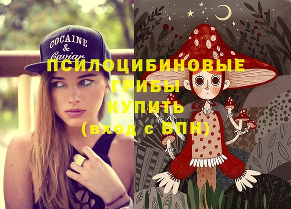 spice Абинск