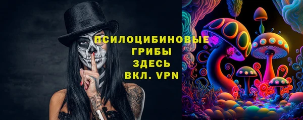 шишки Абдулино