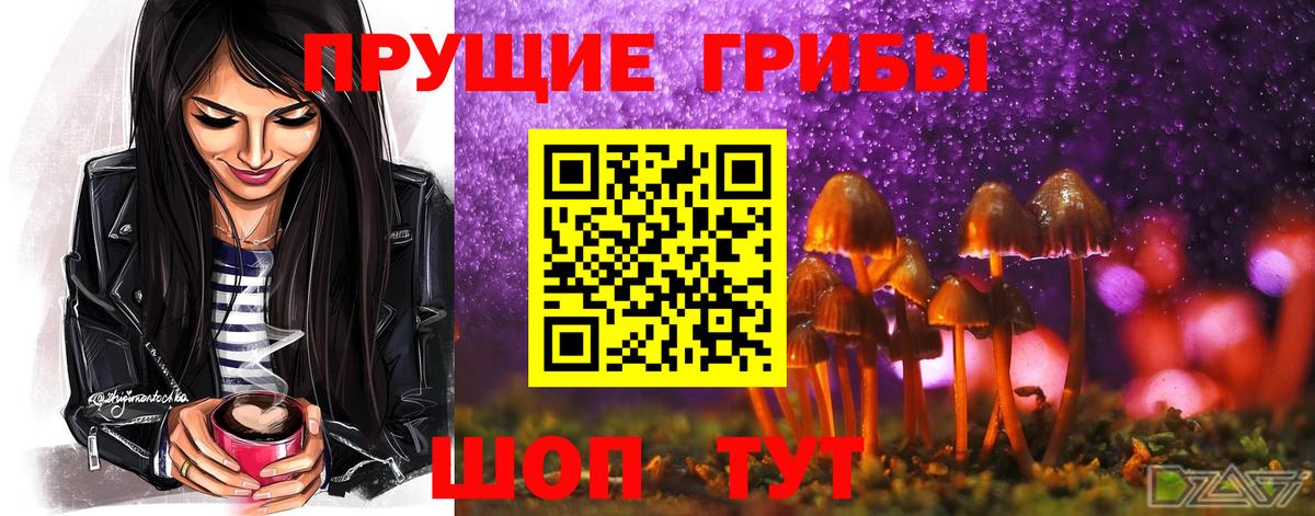 Галлюциногенные грибы мицелий  Вход с VPN  Шумерля 